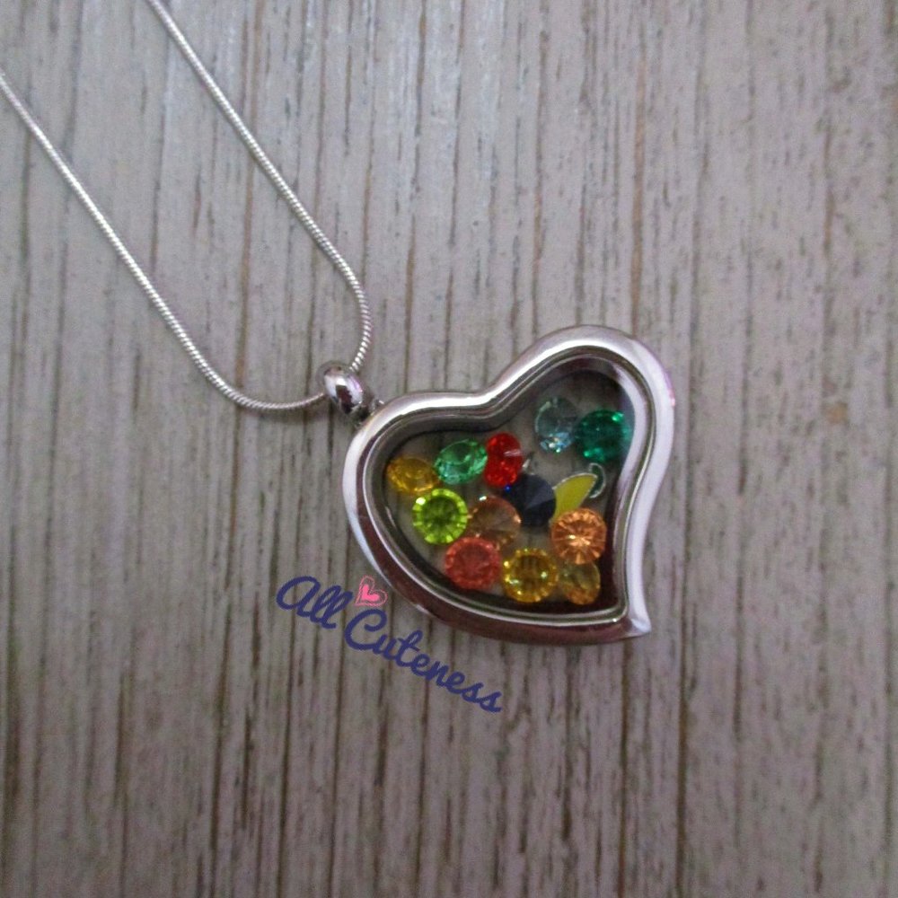 Heart Locket Chain Necklace (NWOT)